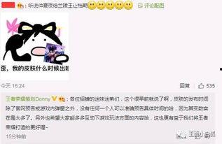 未来之翼最新爆料消息,揭秘神秘科技,引领未来航空新篇章